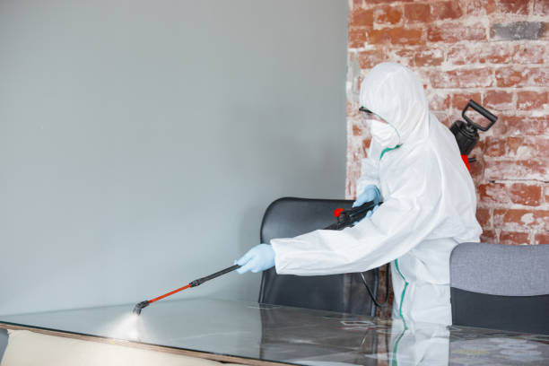 Trusted Crompond, NY Mold Removal Experts